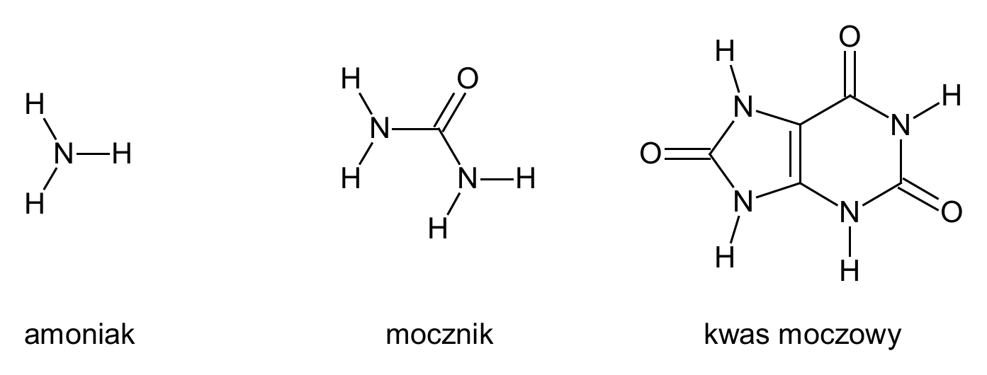 Biologia, poziom rozszerzony, matura próbna styczeń 2026 CKE — Zadanie 12 · Arkusz CKE styczeń 2026 (biologia R) · CKE · dozwolony użytek (art. 27 pr. aut.)