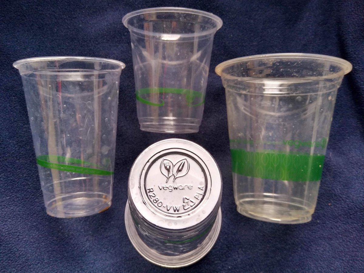 Kubki z PLA (polilaktydu) — przykład bioplastiku. W przemysłowej kompostowni rozkładają się do CO₂ i wody, w przeciwieństwie do tradycyjnych tworzyw z ropy. · źródło: Cmglee, Wikimedia Commons, CC BY-SA 4.0