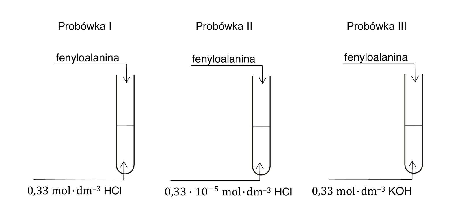 Chemia R, matura 2024 CKE (maj) — Zadanie 28 (schemat 3 probówek — fenyloalanina) · Arkusz CKE maj 2024 · CKE · dozwolony użytek (art. 27 pr. aut.)