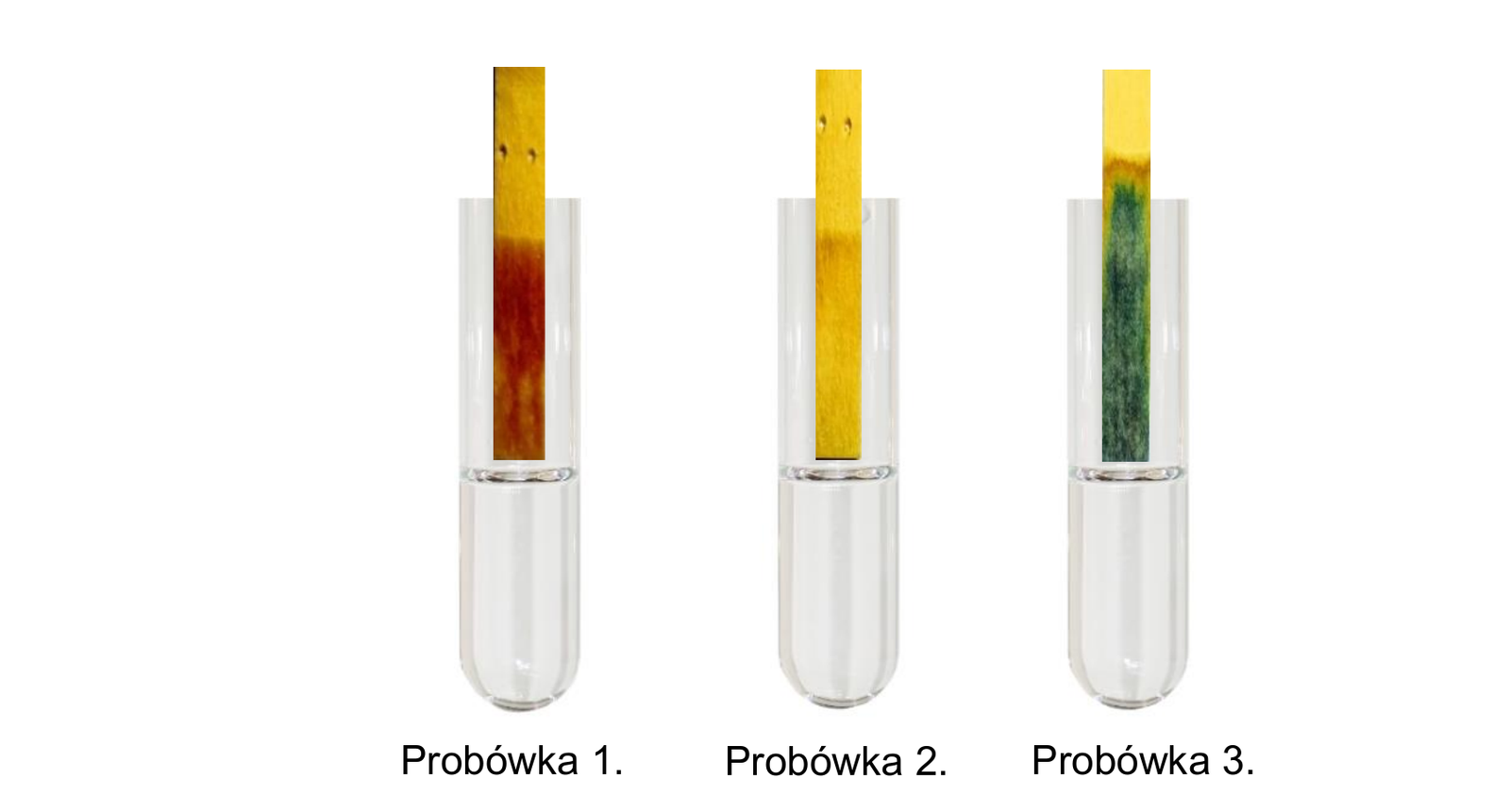Chemia R, matura 2024 CKE (maj) — Zadanie 9 (zdjęcia 3 probówek ze wskaźnikiem uniwersalnym) · Arkusz CKE maj 2024 · CKE · dozwolony użytek (art. 27 pr. aut.)