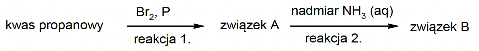 Zadanie 28 (synteza aminokwasu) · — · CKE · dozwolony użytek (art. 27 pr. aut.)