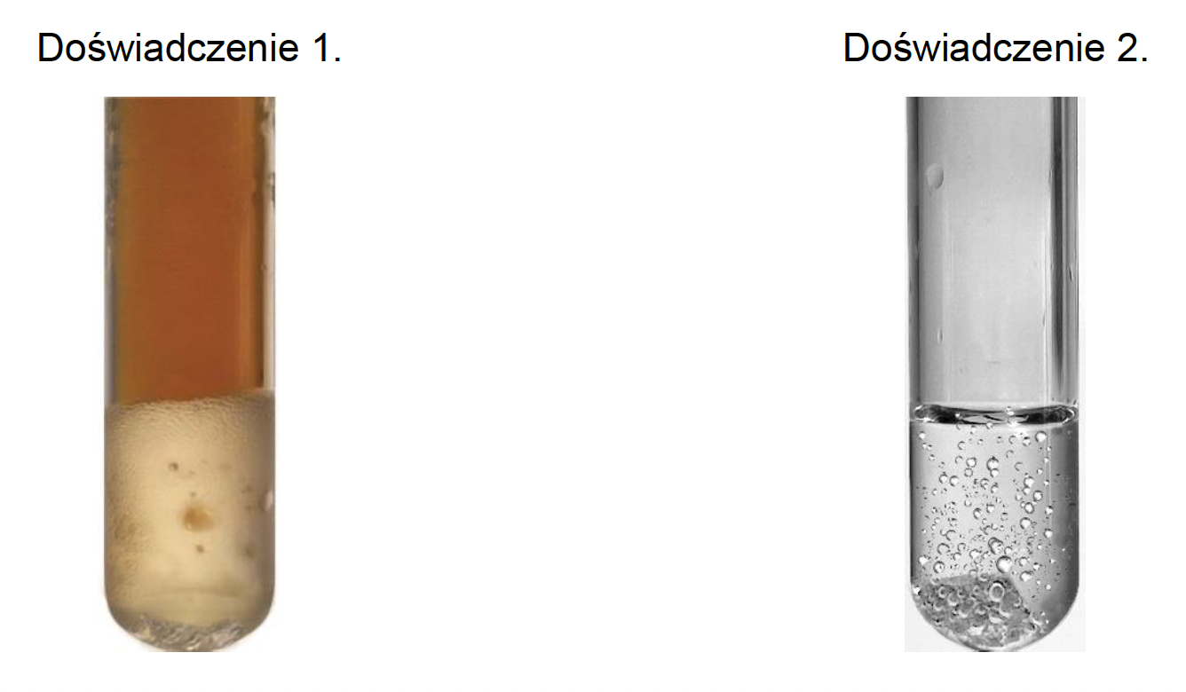Zadanie 9 (metale z kwasami) · — · CKE · dozwolony użytek (art. 27 pr. aut.)