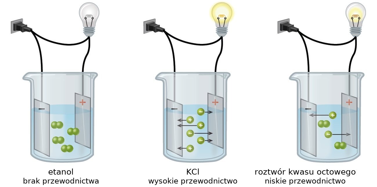 Przewodnictwo roztworów: w obwodzie z żarówką roztwór mocnego elektrolitu (KCl) świeci jasno (dużo jonów), słabego (kwas octowy) słabo, a nieelektrolit (etanol) wcale — nie ma w nim jonów. · źródło: Karishma50 / OpenStax, Wikimedia Commons, CC BY-SA 4.0