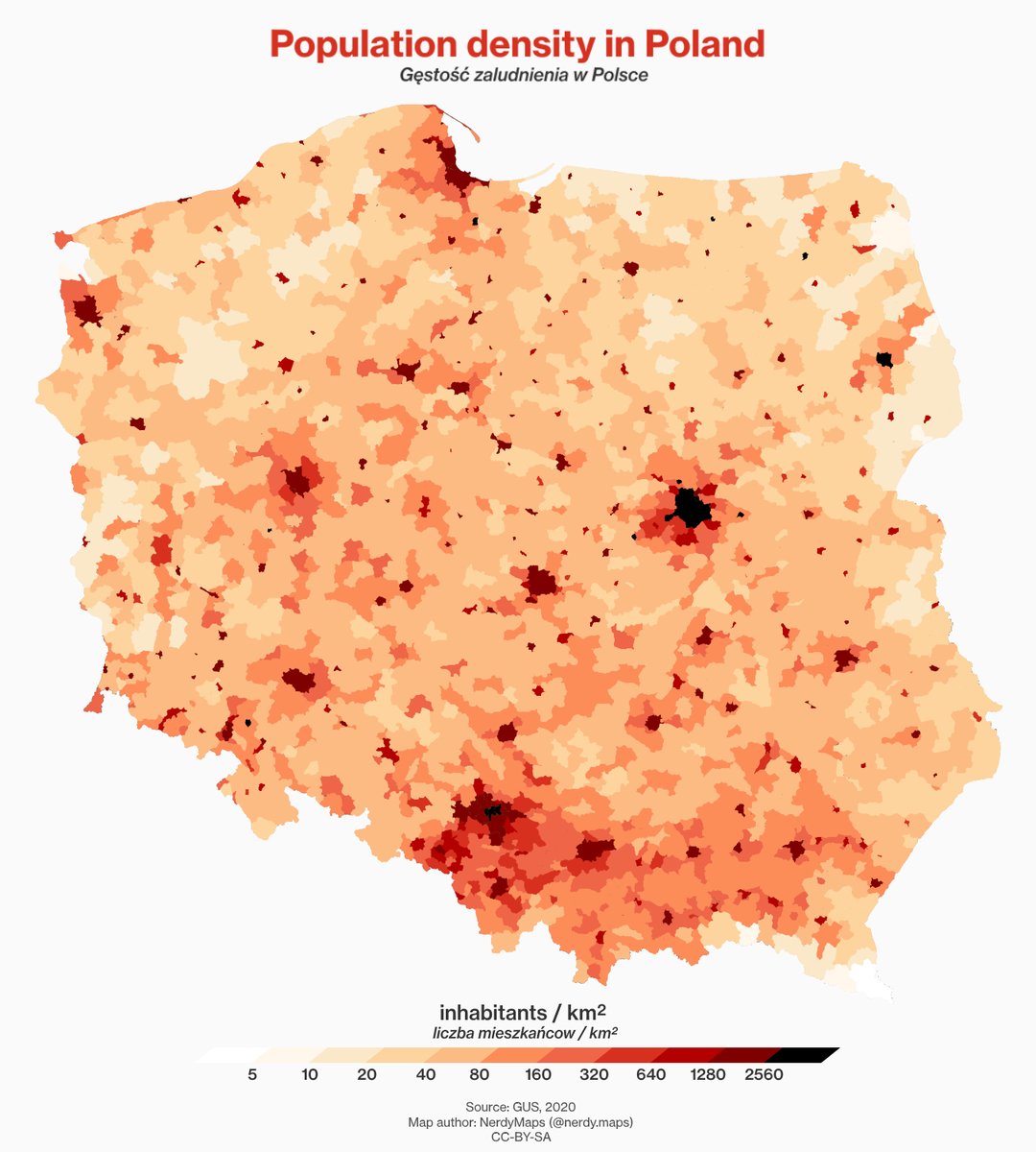 Gęstość zaludnienia Polski: największa na konurbacji górnośląskiej i w aglomeracjach (Warszawa, Kraków, Trójmiasto, Poznań, Wrocław), najmniejsza na wschodzie i w pasie pojezierzy. · źródło: nerdy.maps, Wikimedia Commons, CC BY-SA 4.0