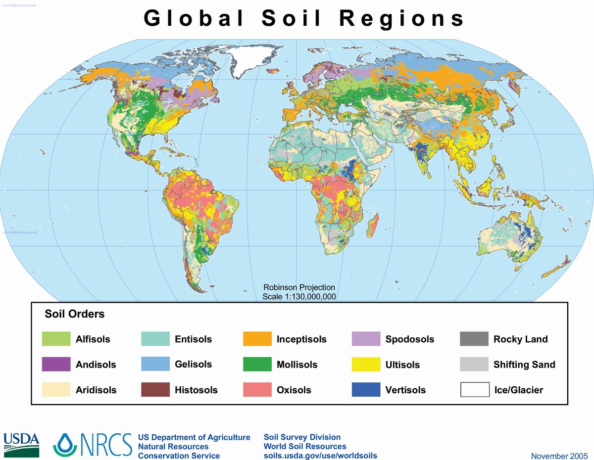Mapa gleb świata (klasyfikacja USDA): rozkład typów gleb jest niemal lustrzanym odbiciem mapy klimatów — klimat to najsilniejszy czynnik glebotwórczy. · źródło: USDA, Wikimedia Commons, domena publiczna