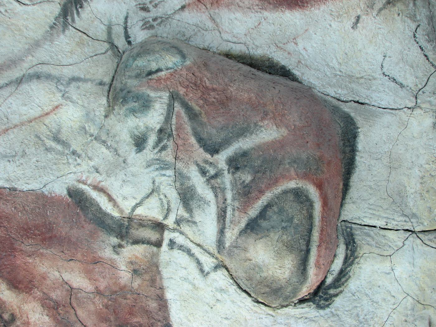 Zwinięty bizon ze stropu jaskini Altamira (ok. 14 000–17 000 lat temu) — fotografia wiernej repliki stropu (Pawilon Anthropos, Muzeum Morawskie w Brnie); artysta wykorzystał naturalne wybrzuszenie skały, by nadać zwierzęciu objętość · źródło: HTO, Wikimedia Commons, domena publiczna