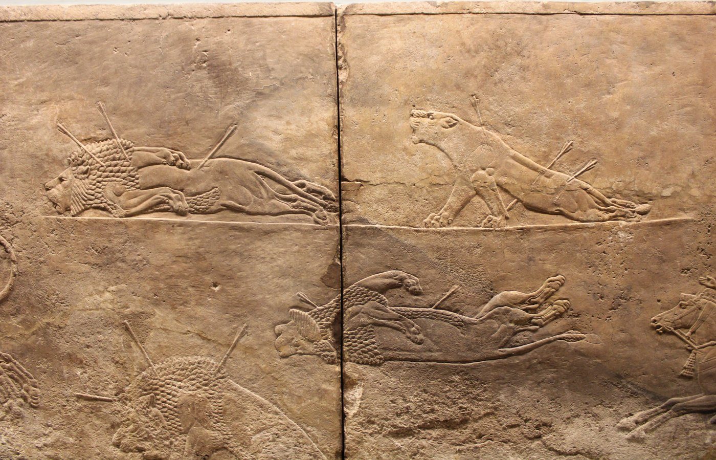 Umierająca lwica — relief z polowania króla Assurbanipala (Niniwa, ok. 645–635 p.n.e., British Museum); tragizm rannego zwierzęcia oddany z poruszającą precyzją · źródło: Zunkir, Wikimedia Commons, CC BY-SA 4.0