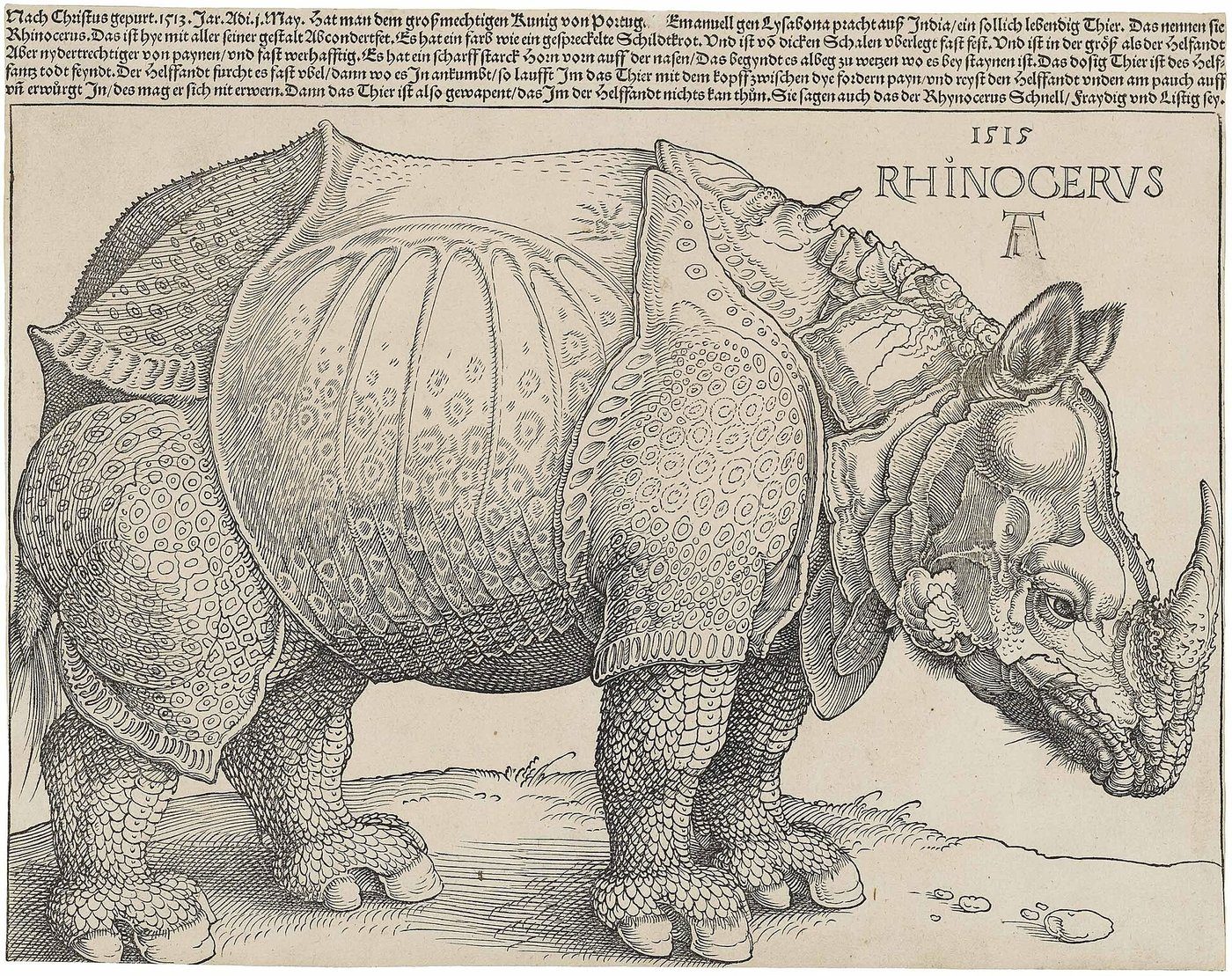 Albrecht Dürer, Nosorożec (drzeworyt, 1515) — druk wypukły: wycina się to, co ma być białe; twarde kontury i gęsta sieć kresek; powstał z samego opisu · źródło: Albrecht Dürer, Wikimedia Commons, domena publiczna