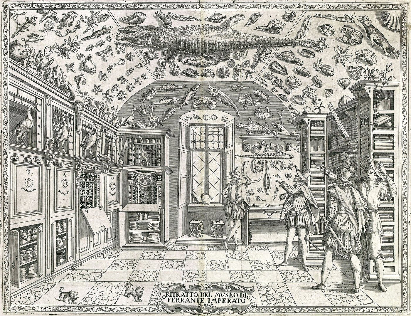 Gabinet osobliwości — rycina z Dell'Historia Naturale Ferrante Imperato (1599) — prywatna kolekcja możnego (muszle, okazy, obrazy); zalążek muzeum, dostępny tylko elicie · źródło: Wikimedia Commons, domena publiczna