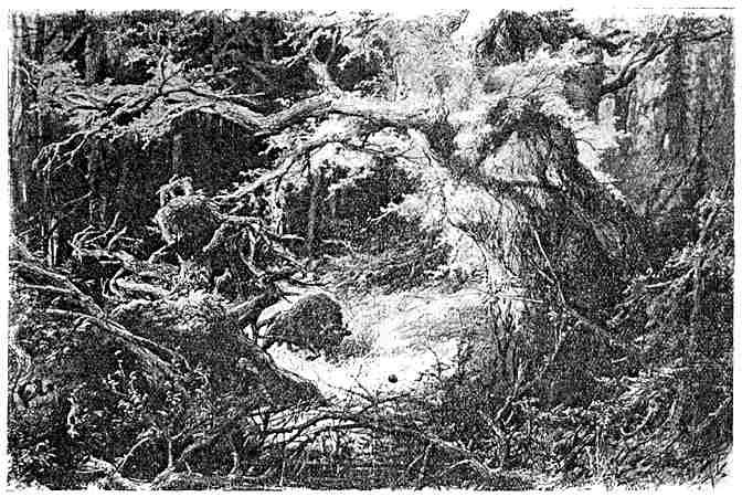 Michał Elwiro Andriolli, ilustracja do „Pana Tadeusza" (Księga XI, 1881) — nadejście wojsk i nadziei (rok 1812) · źródło: Michał Elwiro Andriolli, Wikimedia Commons, domena publiczna