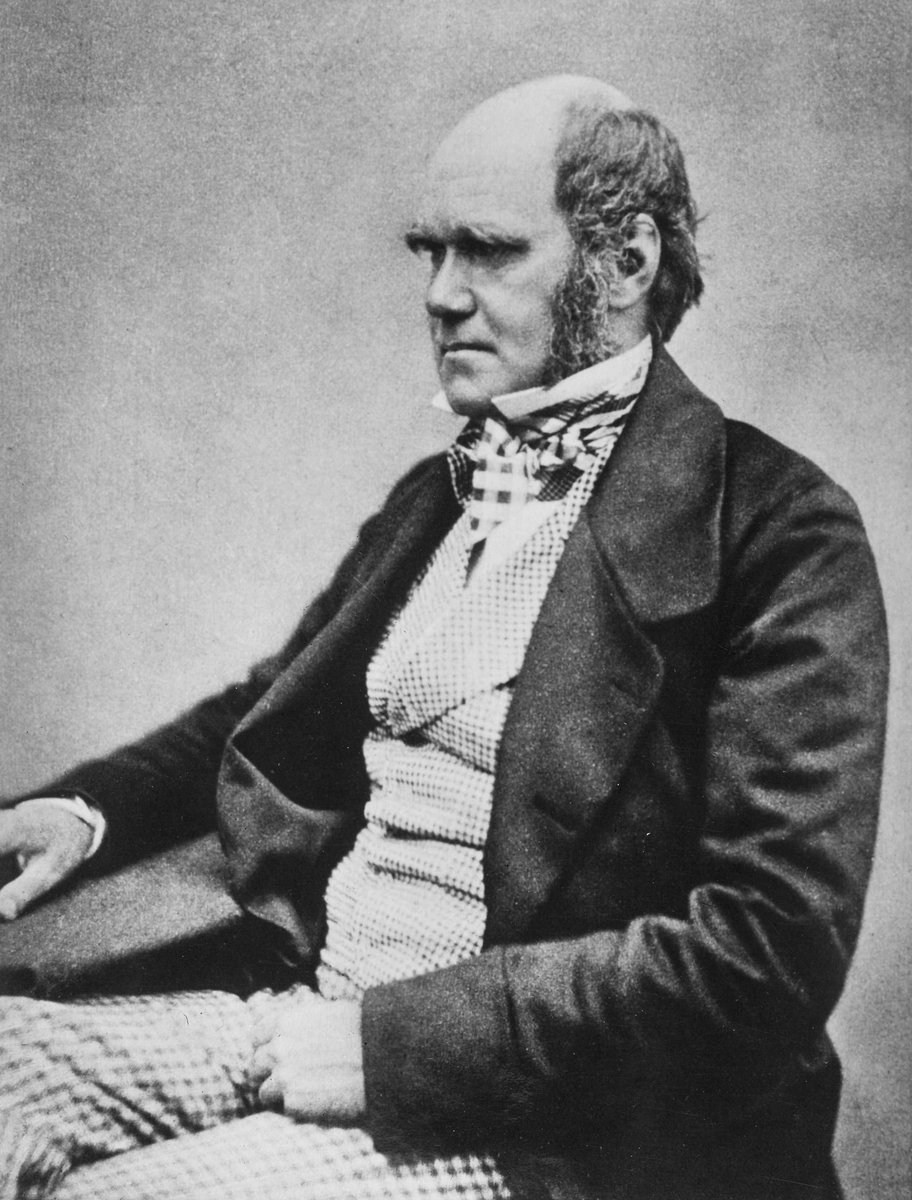 Karol Darwin, którego teoria ewolucji i „walki o byt" patronowała pozytywistycznemu scjentyzmowi · źródło: Maull & Fox, Wikimedia Commons, domena publiczna
