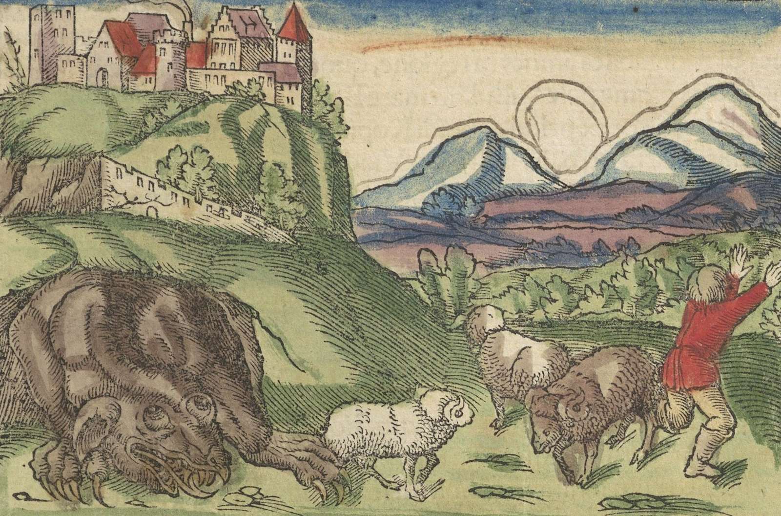 Smok pod wawelskim wzgórzem — drzeworyt z „Cosmographii" Sebastiana Münstera (1550): u stóp zamku smok szykuje się do skoku na owce, obok ucieka przerażony pasterz. Tak legendę o smoku wyobrażano sobie już niemal 500 lat temu · źródło: Sebastian Münster, „Cosmographia" (1550), Wikimedia Commons, domena publiczna