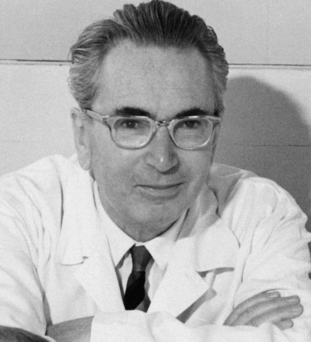 Viktor Frankl (1965) · źródło: fot. Franz Vesely, Wikimedia Commons, CC BY-SA 3.0 DE