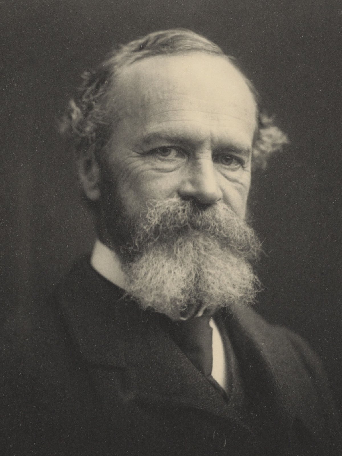 William James — fotografia portretowa (Notman Studios) · źródło: Wikimedia Commons, domena publiczna