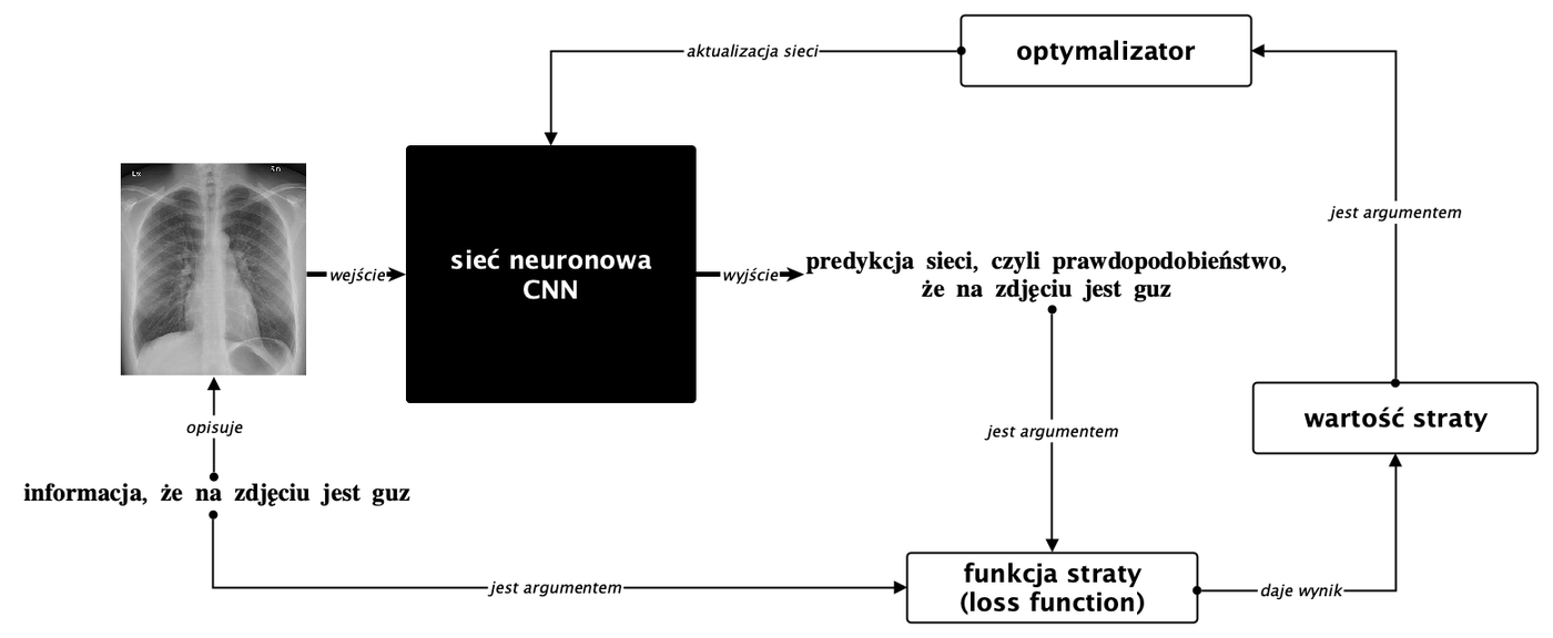 Ogólny proces uczenia sieci neuronowej: przykład wchodzi do sieci, sieć wydaje predykcję, funkcja straty porównuje ją z etykietą, optymalizator na tej podstawie zmienia parametry — i cykl zaczyna się od nowa