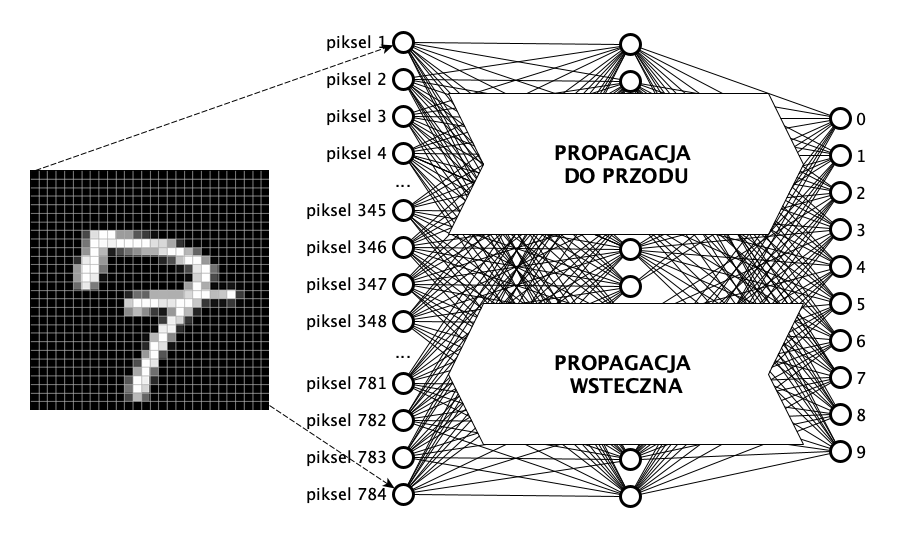 Dwa kierunki uczenia sieci: strzałka skierowana w prawo to propagacja „do przodu" (obrazek zamienia się w predykcję), strzałka skierowana w lewo to propagacja wsteczna (błąd wraca przez warstwy, korygując wagi)