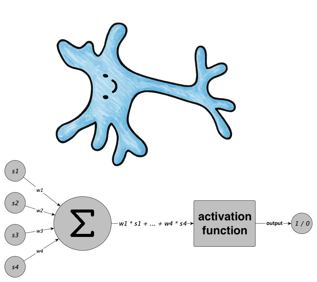 Sztuczny neuron jako uproszczenie neuronu biologicznego: wejścia s₁–s₄ z wagami w₁–w₄ trafiają do sumy ważonej (Σ), a jej wynik przechodzi przez funkcję aktywacji, dając jedno wyjście